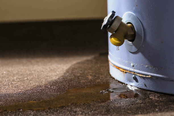 Best Water damage restoration process  in Colwyn, PA