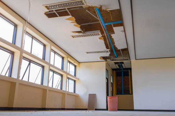 Best Carpet water damage restoration  in Colwyn, PA