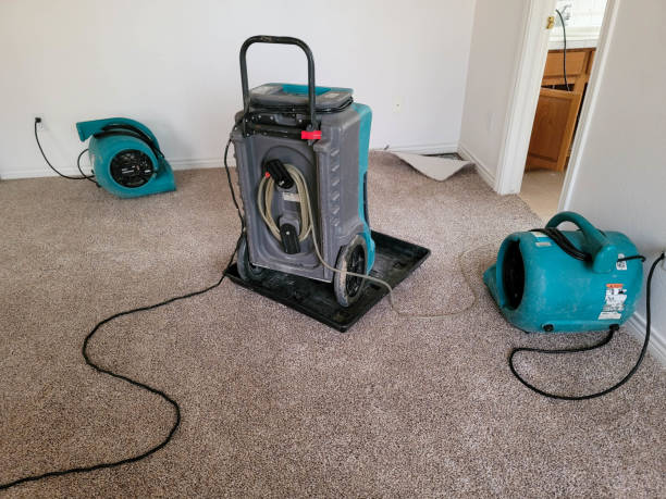 Best Water damage restoration near me  in Colwyn, PA