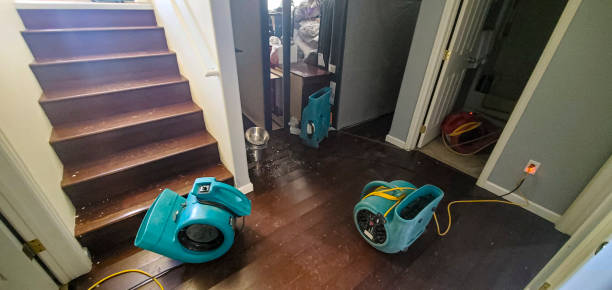 Best 24/7 water damage repair  in Colwyn, PA