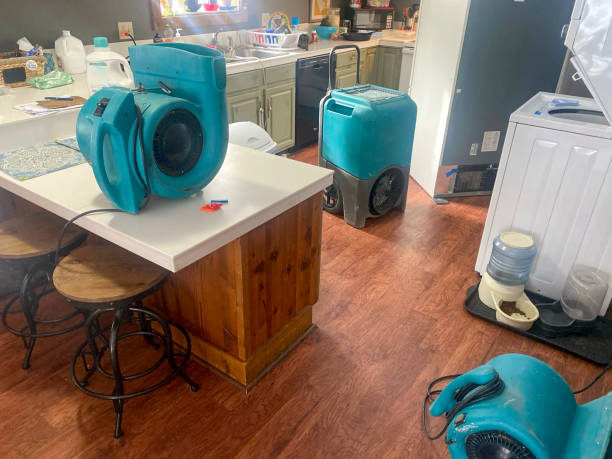 Best Water damage restoration specialists  in Colwyn, PA