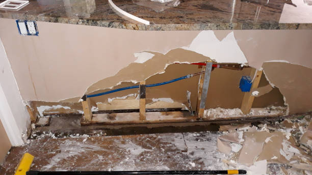 Best Water damage repair service  in Colwyn, PA
