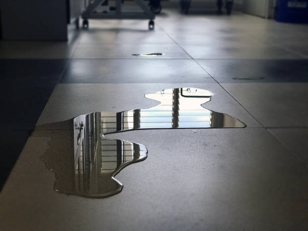 Best Commercial water damage restoration  in Colwyn, PA