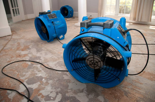 Best Ceiling water damage repair  in Colwyn, PA