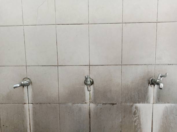 Best Water damage restoration company  in Colwyn, PA
