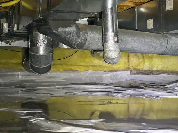 Best Professional water damage repair  in Colwyn, PA