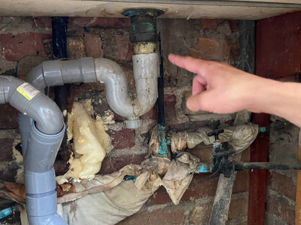 Best Emergency water damage restoration  in Colwyn, PA