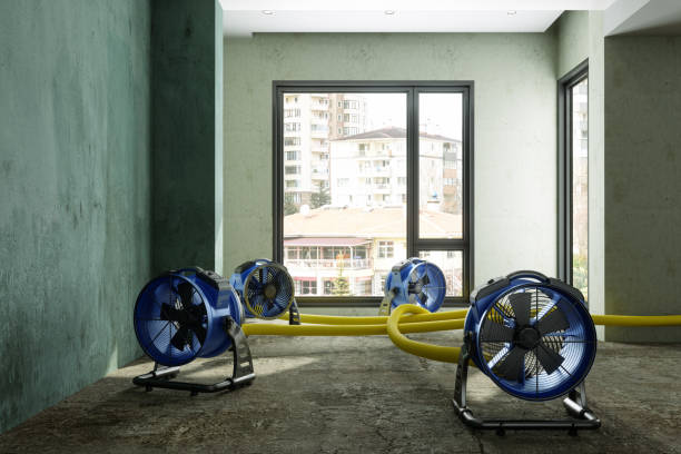 Best Basement water damage restoration  in Colwyn, PA